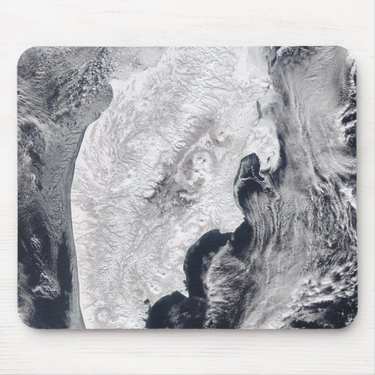 Kamchatka Peninsula, Oost-Rusland Muismat (Voorkant)