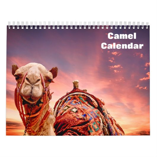 Kameel 2027 kalender (Hoes)