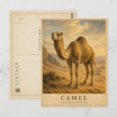 Kameel Arabische Woestijn VINTAGE Briefkaart (Voorkant / Achterkant)