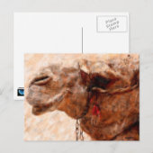 kameel briefkaart (Voorkant / Achterkant)