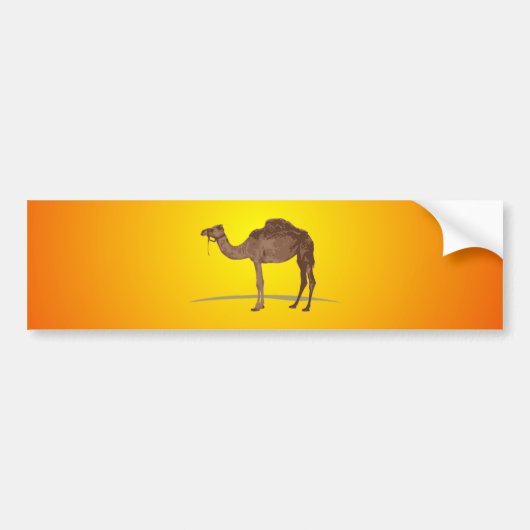 Kameel Bumpersticker (Voorkant)