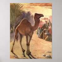 Kameel door Louis Sargent, Vintage Wilde Dieren