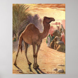 Kameel door Louis Sargent, Vintage Wilde Dieren Poster