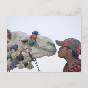 Kameel en jongen briefkaart