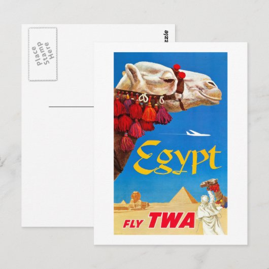 kameel en Pyramiden Briefkaart (Voorkant / Achterkant)