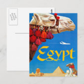 kameel en Pyramiden Briefkaart (Voorkant / Achterkant)