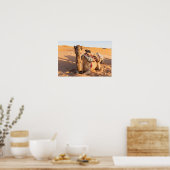 Kameel in de Omaan woestijn Poster (Keuken)