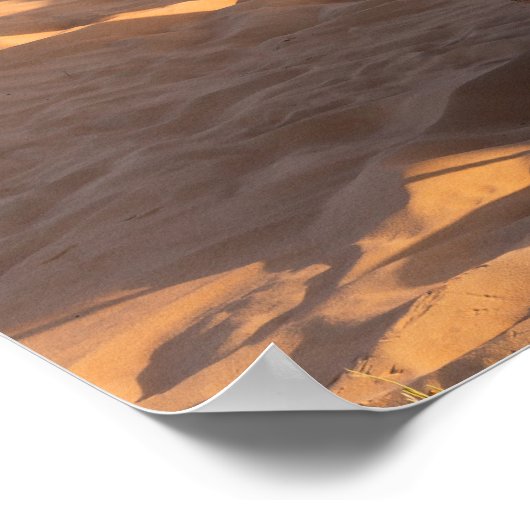 Kameel in de Omaanse woestijn Poster (Hoek)