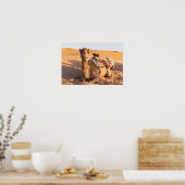 Kameel in de Omaanse woestijn Poster (Keuken)