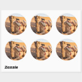 Kameel in de Omaanse woestijn Ronde Sticker (Vel)