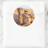 Kameel in de Omaanse woestijn Ronde Sticker (Tas)