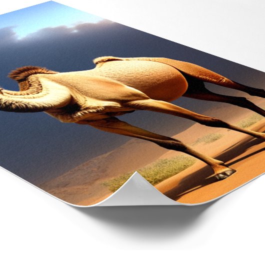 kameel in het poster van de woestijn (Hoek)