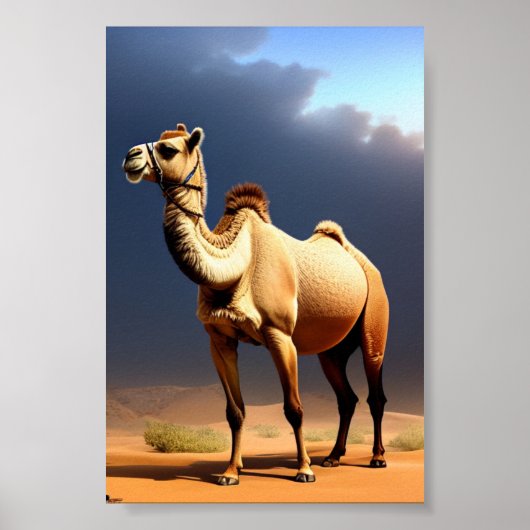 kameel in het poster van de woestijn (Voorkant)