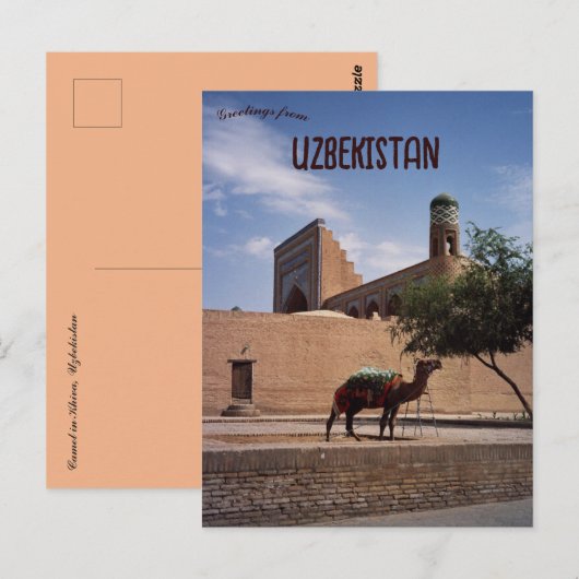 Kameel in Khiva Oezbekistan Briefkaart (Voorkant / Achterkant)