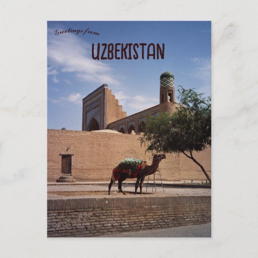 Kameel in Khiva Oezbekistan Briefkaart (Voorkant)