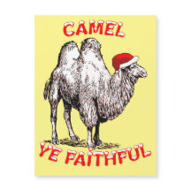 Kameel Je Getrouwe Leuke Punt Vakantie Ontwerp