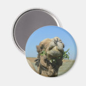 Kameel kauwende bloemen magneet (Voorkant / Achterkant)