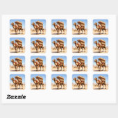 kameel lading vierkante sticker (Vel)