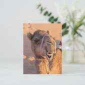 Kameel met een grappige gezichtsuitdrukking - Oman Briefkaart (Staand voorkant)