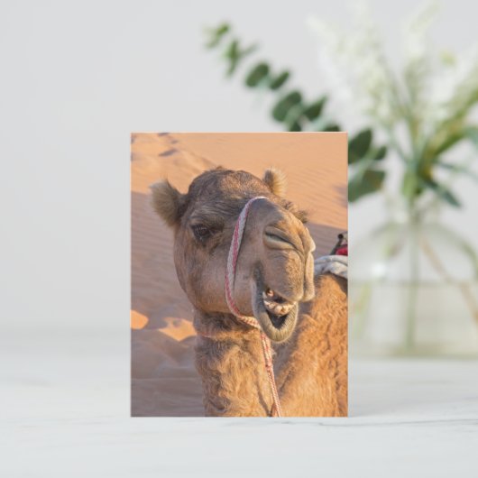 Kameel met een grappige gezichtsuitdrukking - Oman Briefkaart (Staand voorkant)