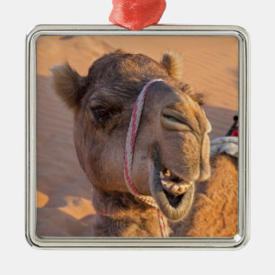 Kameel met een grappige gezichtsuitdrukking - Oman Metalen Ornament