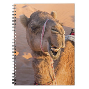 Kameel met een grappige gezichtsuitdrukking - Oman Notitieboek