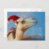 Kameel met kerst pet feestdagenkaart (Voorkant / Achterkant)
