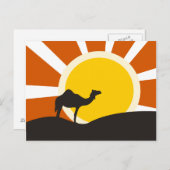 kameel met zonsondergang briefkaart (Voorkant / Achterkant)