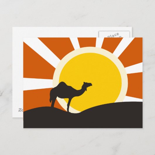 kameel met zonsondergang briefkaart (Voorkant / Achterkant)