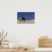 kameel poster (Keuken)