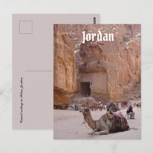 Kameel rust in Petra Jordan Briefkaart (Voorkant / Achterkant)