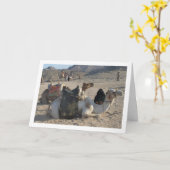 Kameel Rustend in Woestijn Kaart (Gele Bloem)