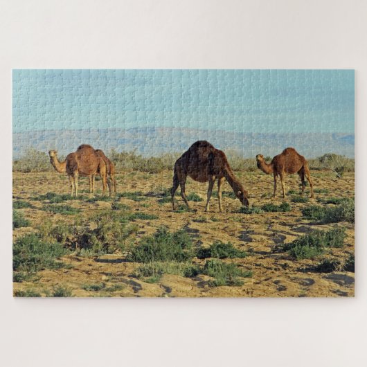 Kameel, Tunesië 1014-pc Legpuzzel (Horizontaal)