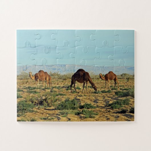 Kameel, Tunesië 30- Legpuzzel (Horizontaal)