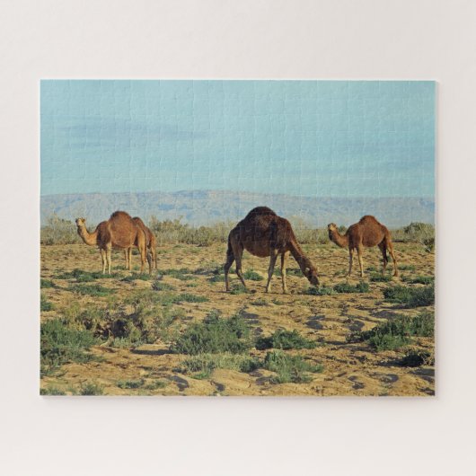 Kameel, Tunesië 520-delig Legpuzzel (Horizontaal)