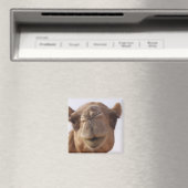 kameel vierkante magneet (Insitu (Vaatwasser))