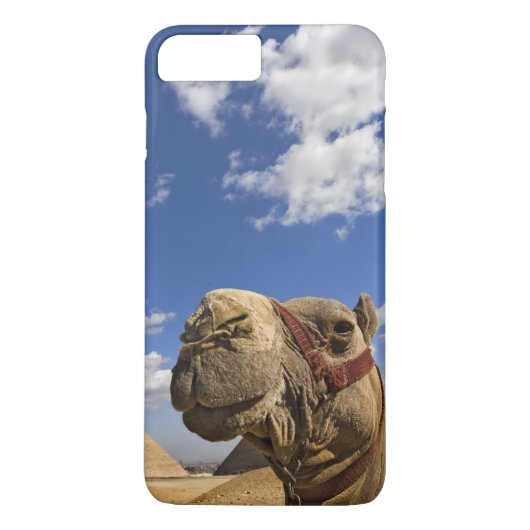 Kameel voor de piramides van Giza, Egypte, Case-Mate iPhone Case (Achterkant)