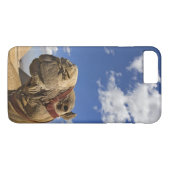 Kameel voor de piramides van Giza, Egypte, Case-Mate iPhone Case (Achterkant (Horizontaal))