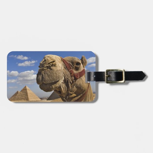 Kameel voor de piramides van Gizeh, Egypte, Bagagelabel (Voorkant horizontaal)