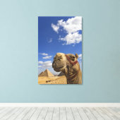 Kameel voor de piramides van Gizeh, Egypte, Canvas Afdruk (Insitu (Houten vloer))