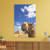 Kameel voor de piramides van Gizeh, Egypte, Canvas Afdruk (Insitu (Woonkamer))
