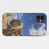 Kameel voor de piramides van Gizeh, Egypte, Case-Mate iPhone Case (Achterkant (horizontaal))