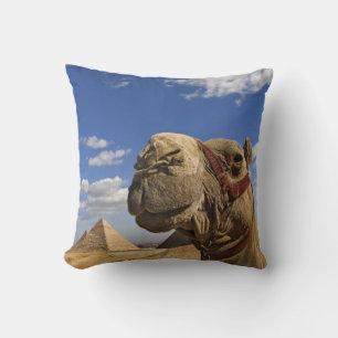 Kameel voor de piramides van Gizeh, Egypte, Kussen