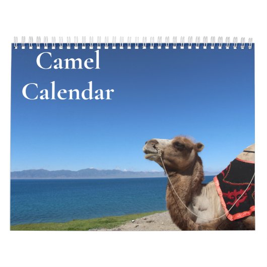 Kameelkalender 2027 kalender (Hoes)