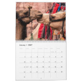 Kameelkalender 2027 kalender (Jan 2027)