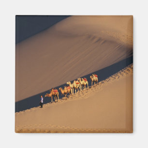 Kameelkaravaan in de woestijn, Dunhuang, Gansu Magneet