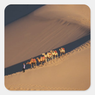 Kameelkaravaan in de woestijn, Dunhuang, Gansu Vierkante Sticker