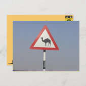 kameelkruising briefkaart (Voorkant / Achterkant)