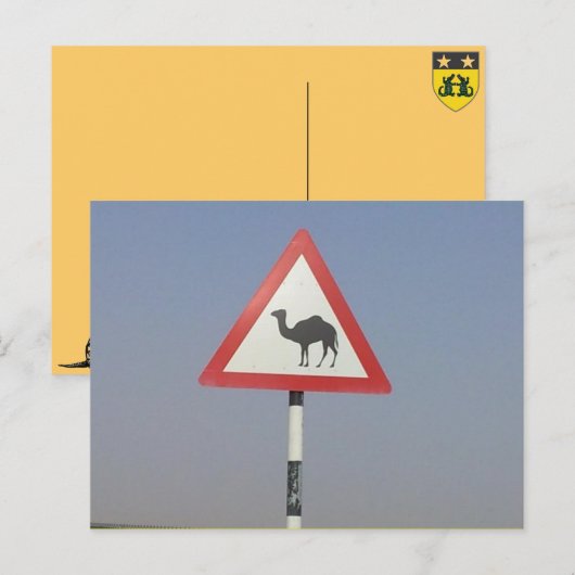 kameelkruising briefkaart (Voorkant / Achterkant)