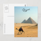 kameelpiramide briefkaart (Voorkant / Achterkant)